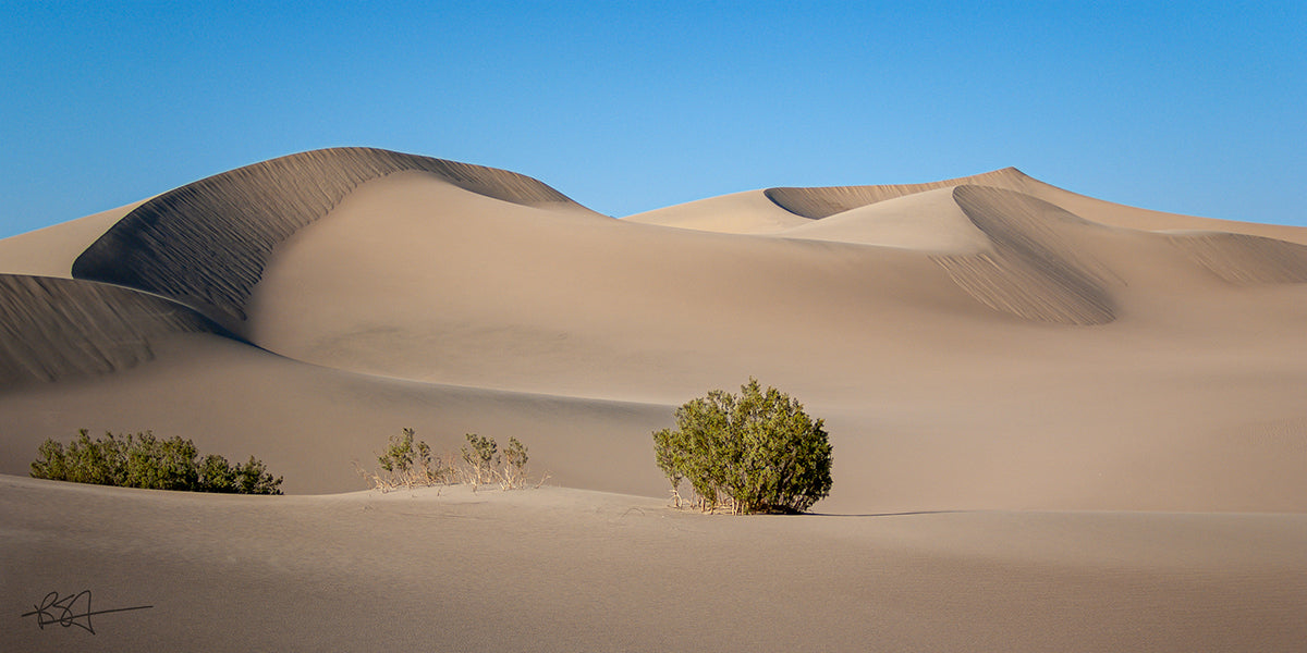 Evenings at Mesquite Flat Dunes