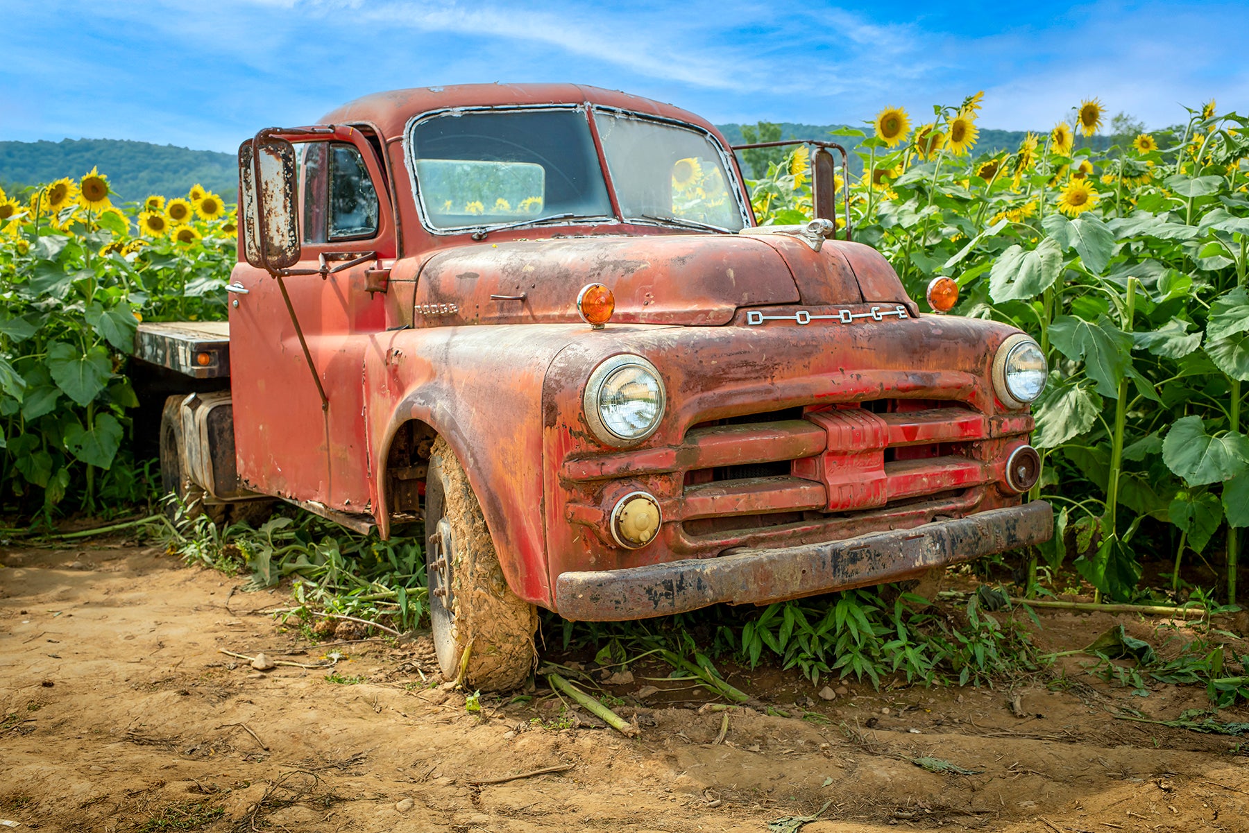 1950 Dodge Flatbed