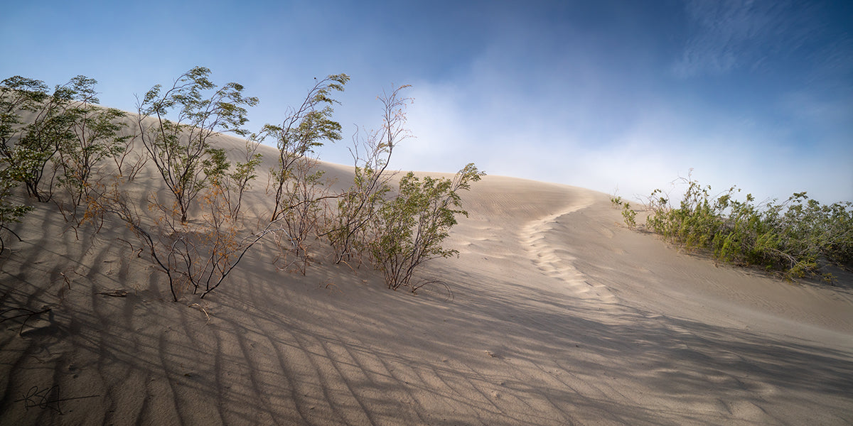 Mesquite Flat Sand Dunes, Approaching Sandstorm