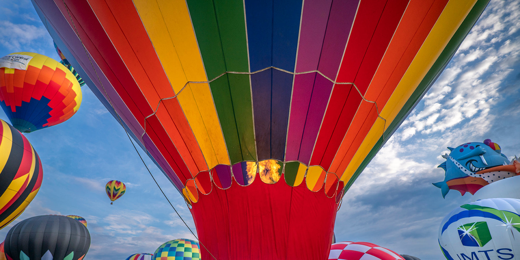 Hot air balloons ascending at dawn