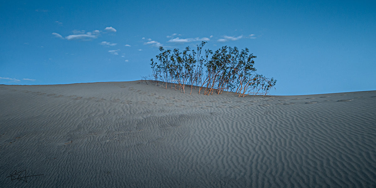 Mesquite Flat Sand Dunes, Blue Dunes