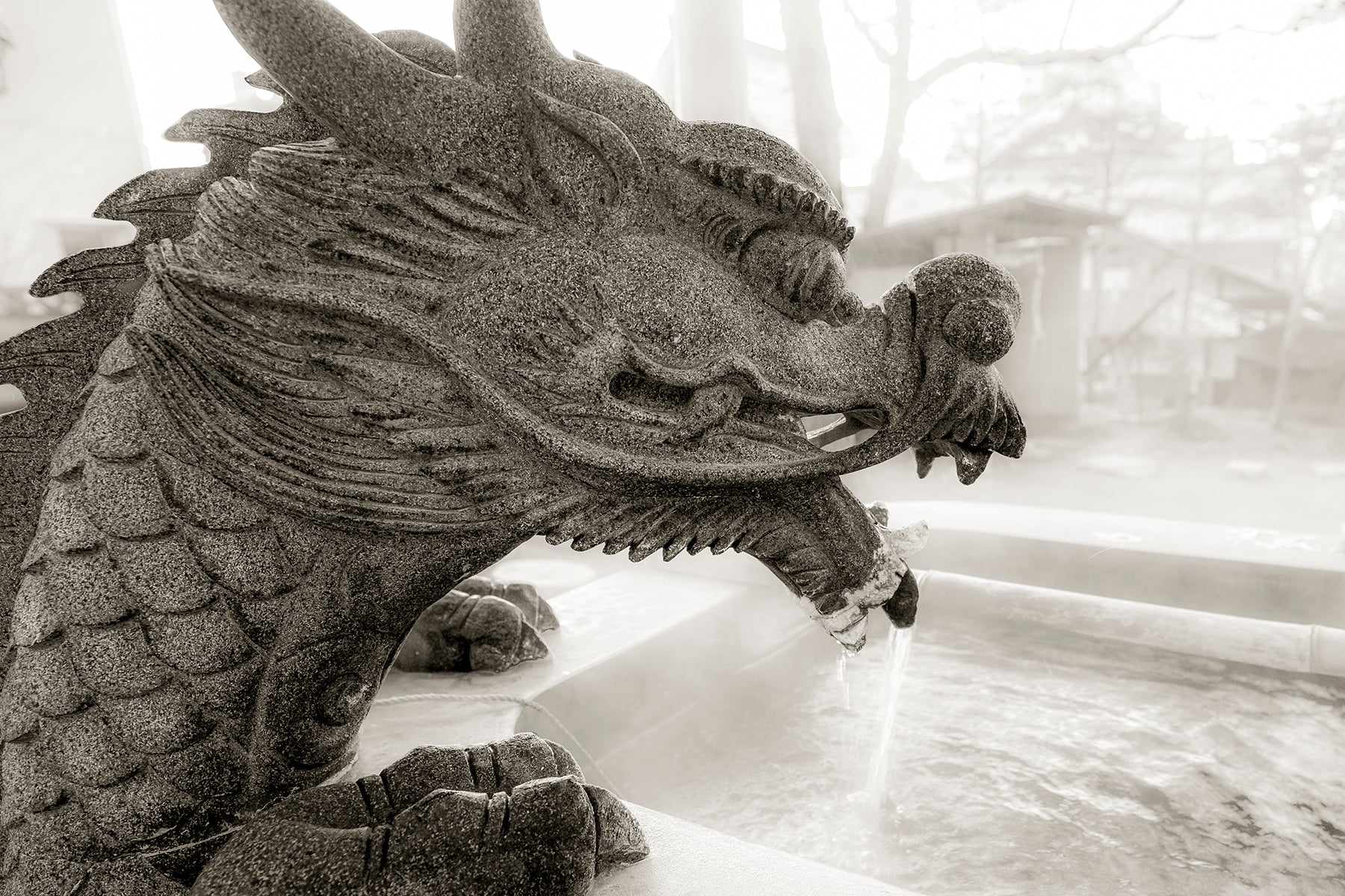 Buddhist Dragon sculpture