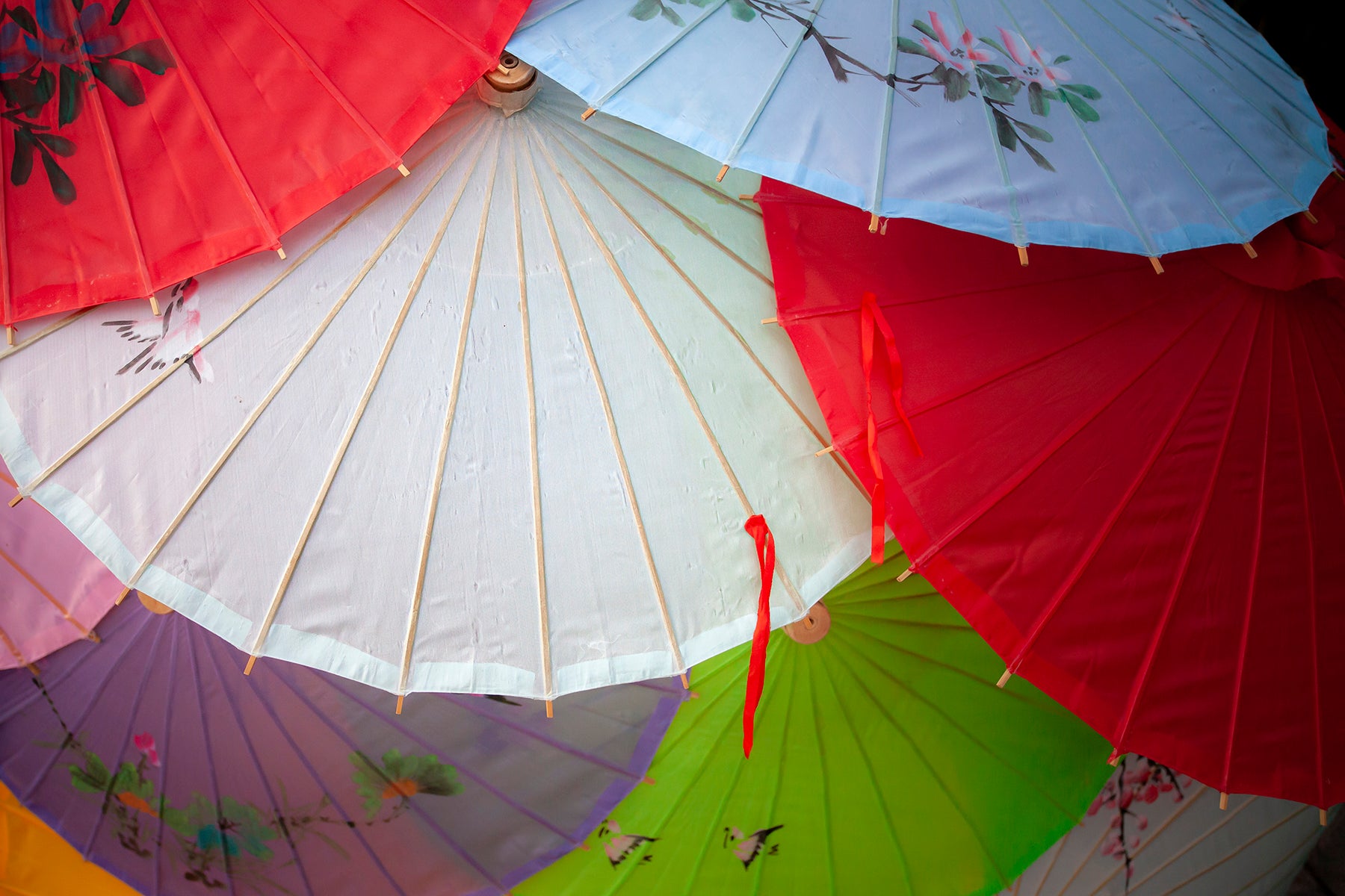 Chinese Umbrellas