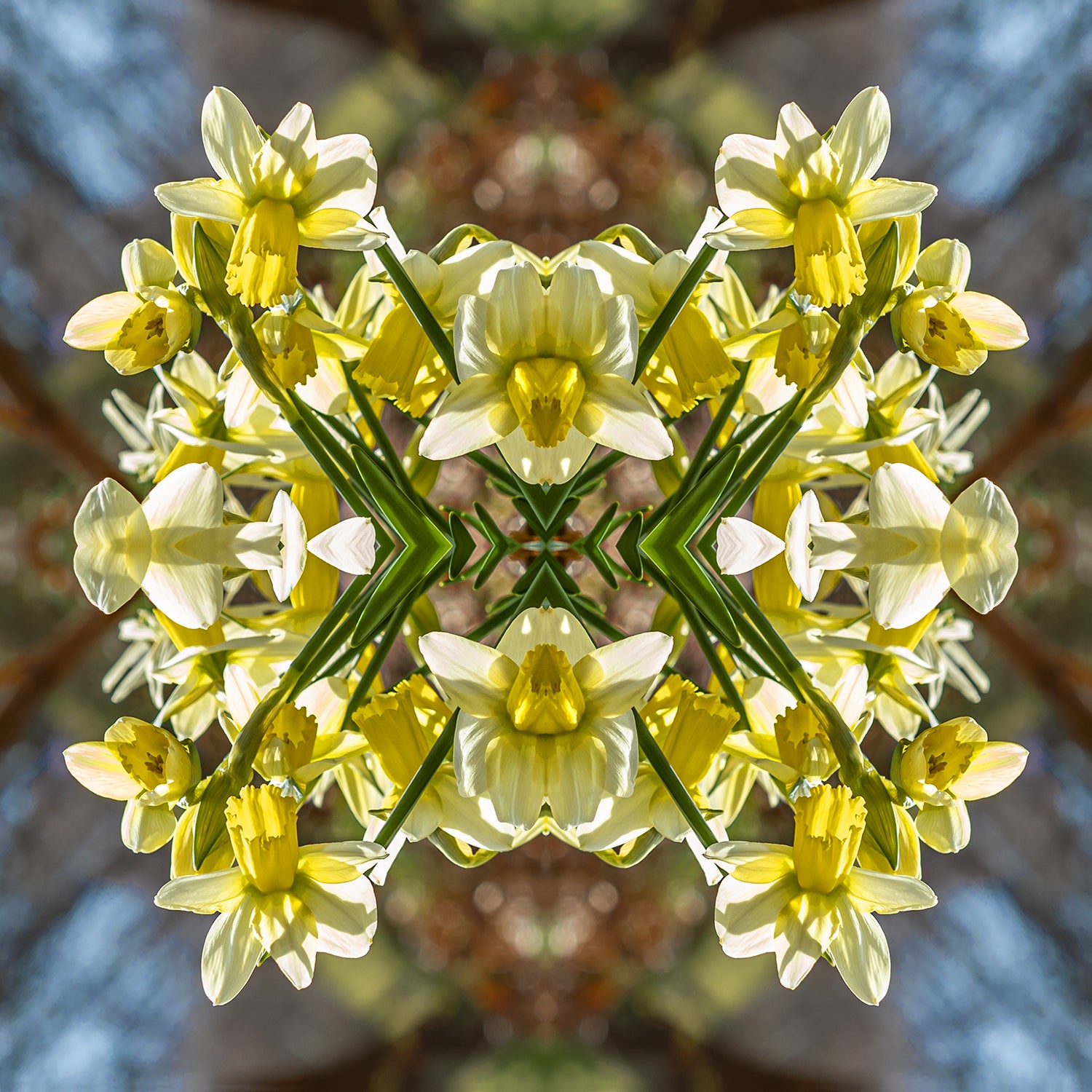 Scarf with daffodil design