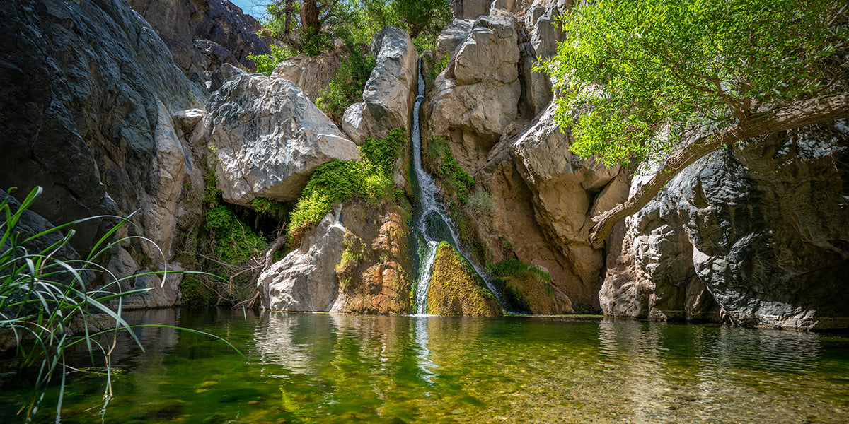 Darwin Falls, a waterfall in Death Valley