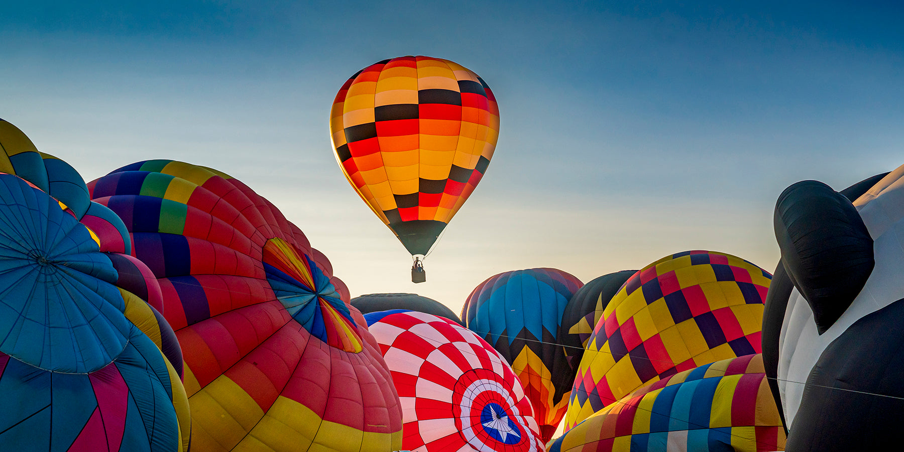 A group of hot air balloons rise for a sunset trip