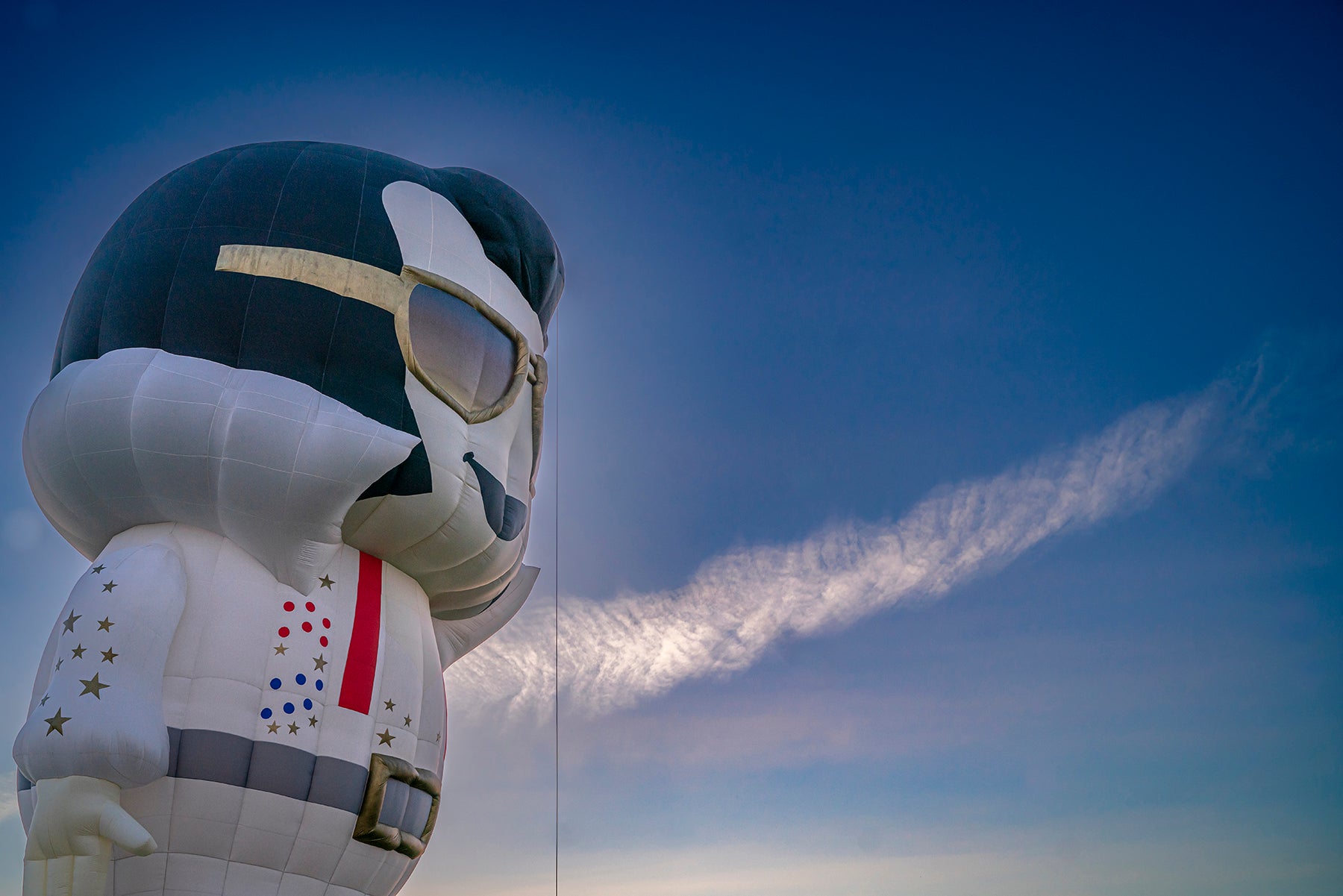 Hot air balloon of Elvis