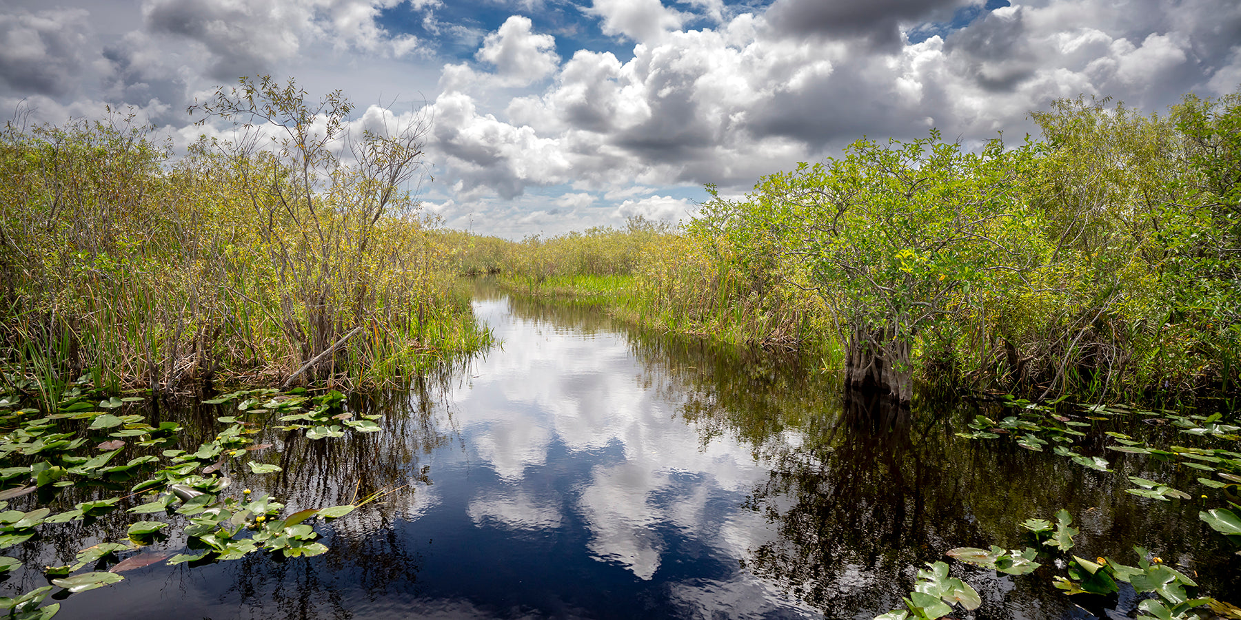 Waterway in the Everglades National Park