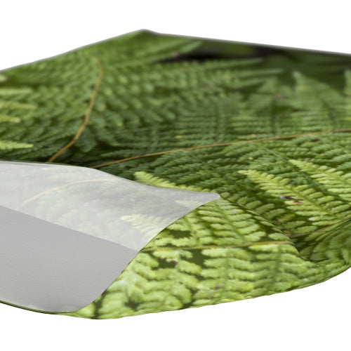 Headband with fern design