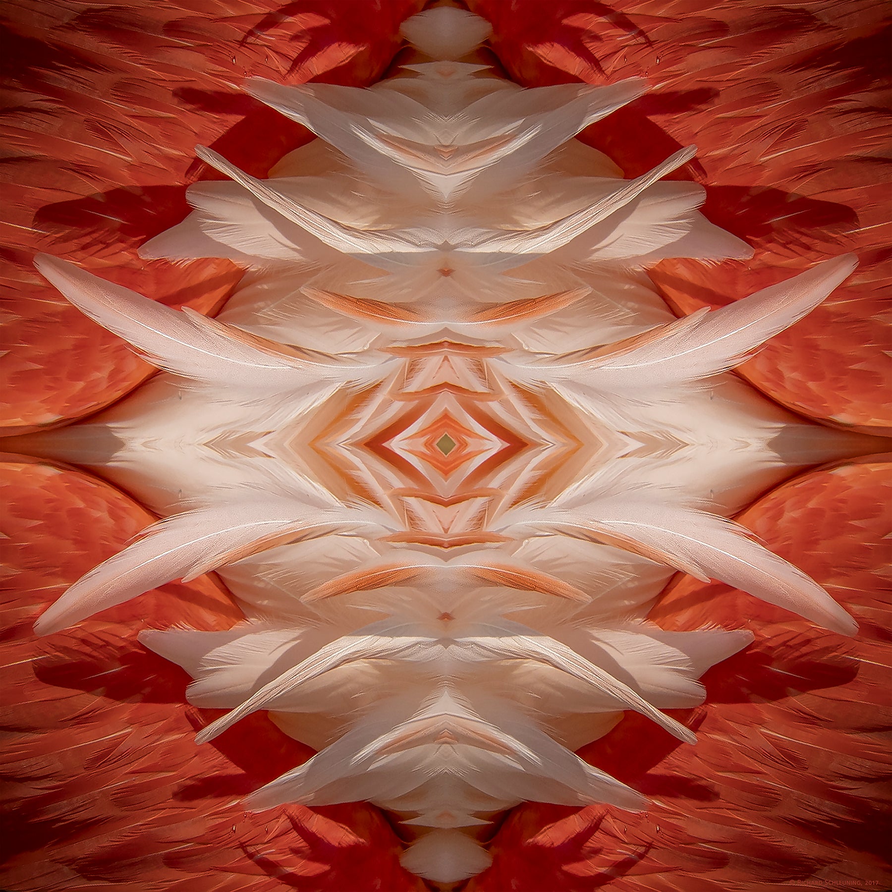 An abstract fine art print insprired by flamingo feathers