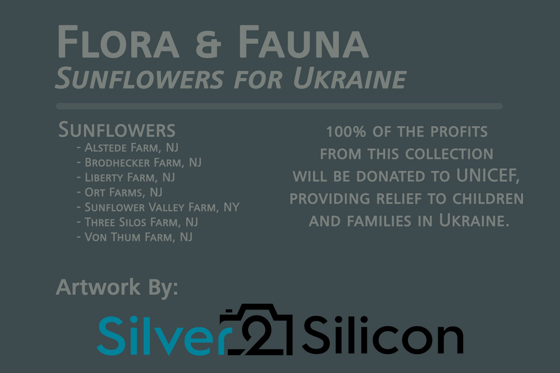 Flora & Fauna, Sunflowers for Ukraine