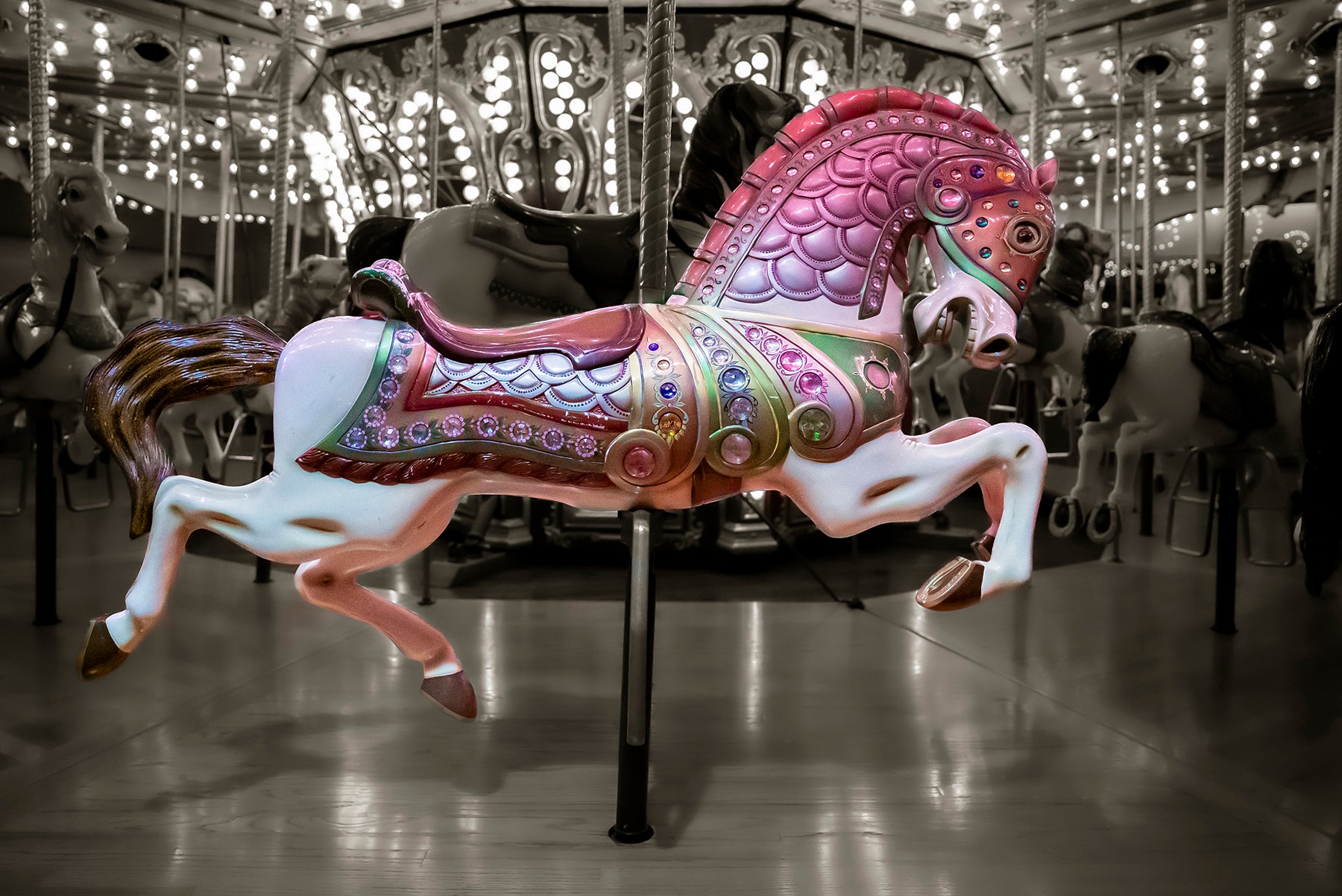 A galloper horse on the merry go round in Seattle