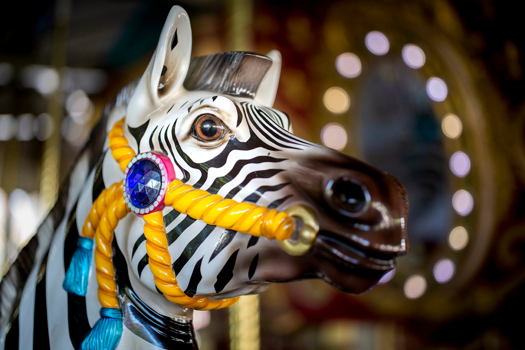 A merry go round zebra at the Dallas Zoo