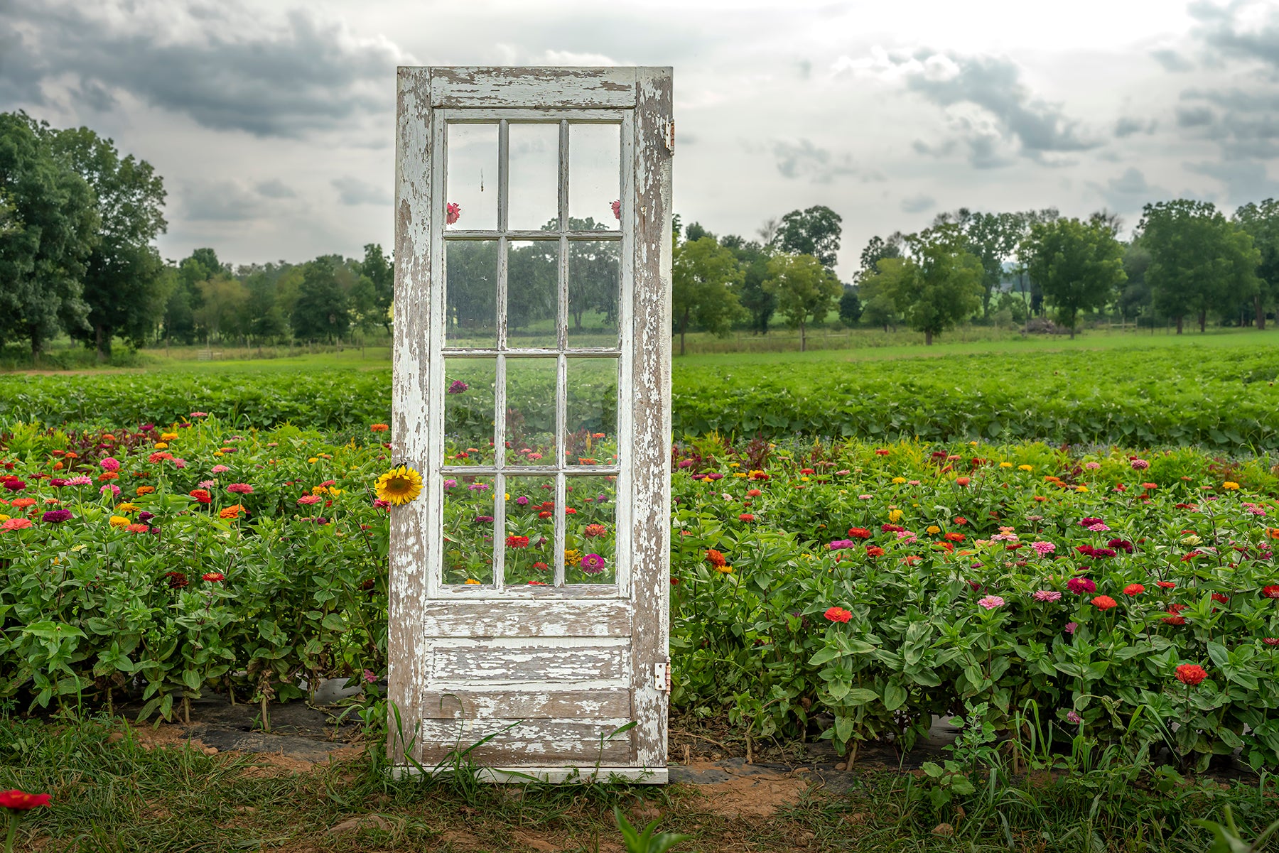 A door frames a garden in western New Jersey