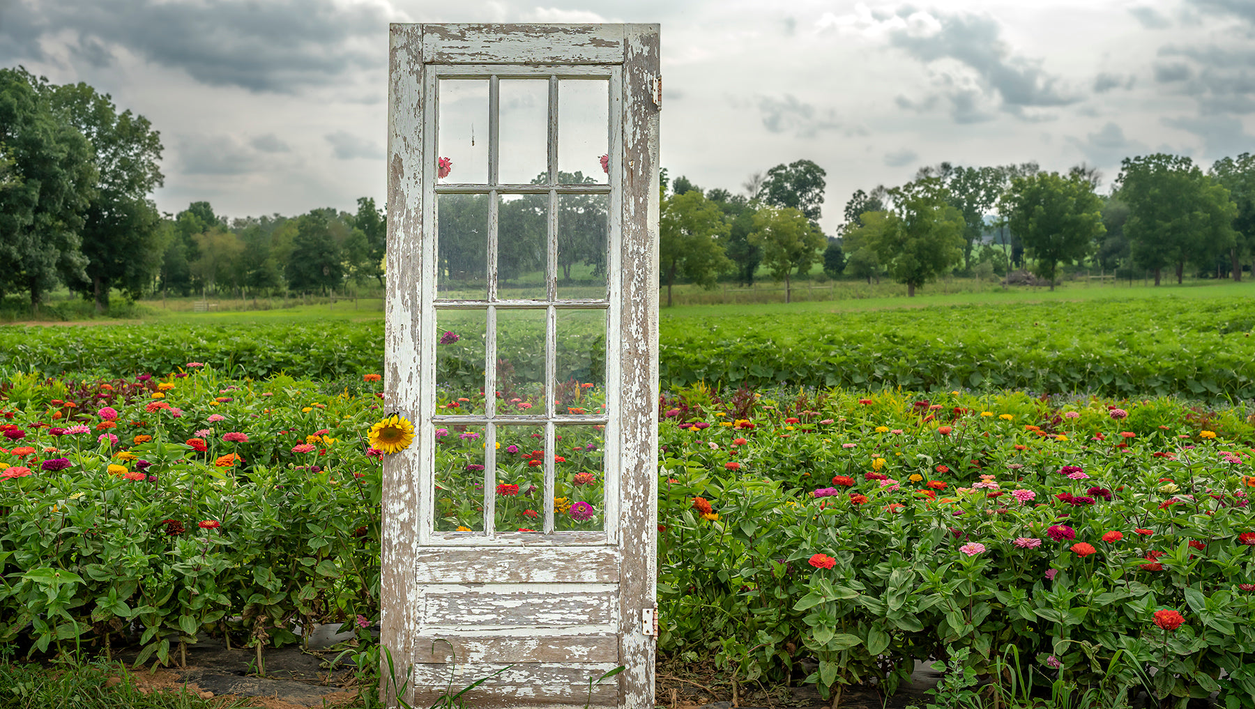 A door frames a flower garden in western New Jersey