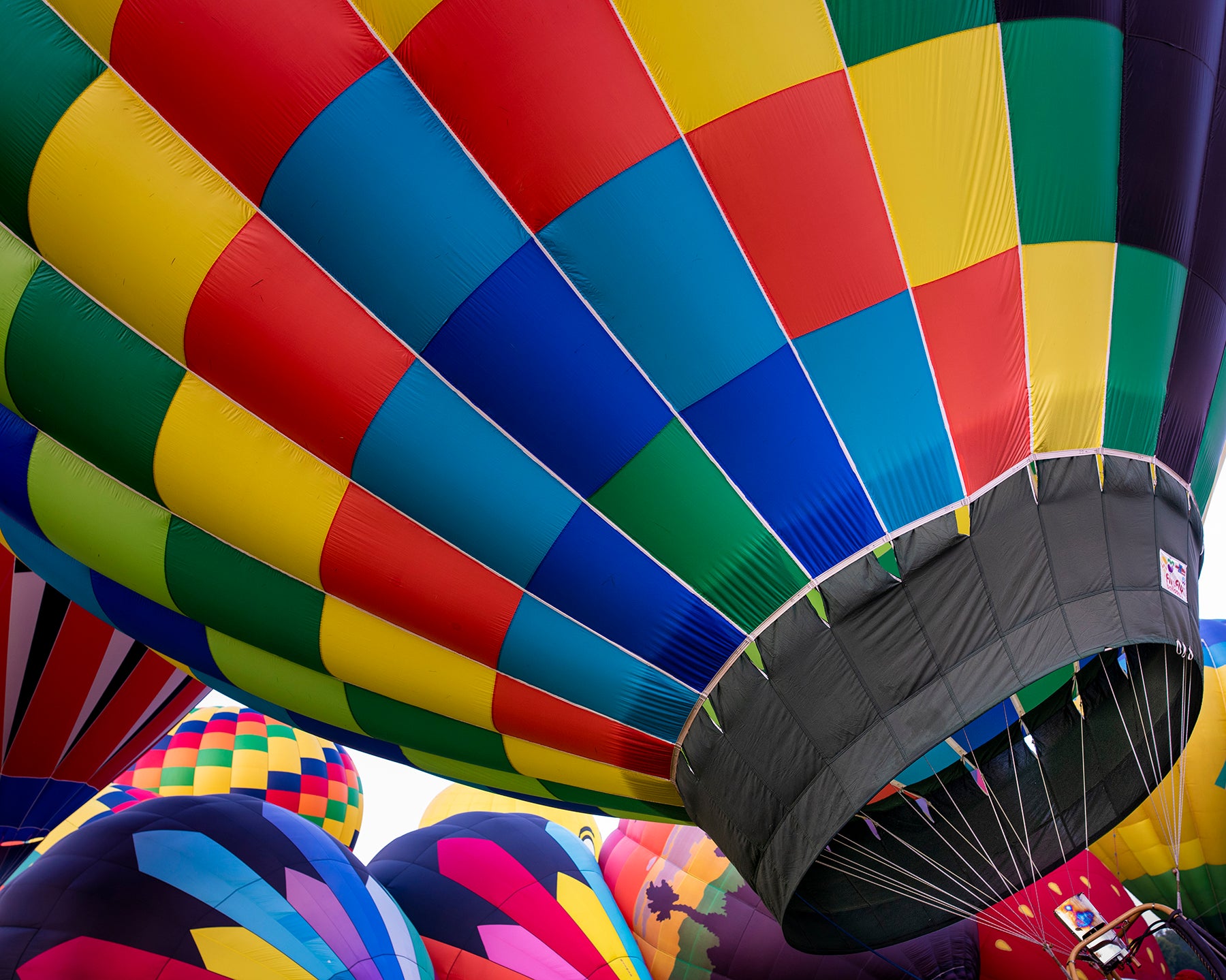 Hot air balloons inflated and ready to rise