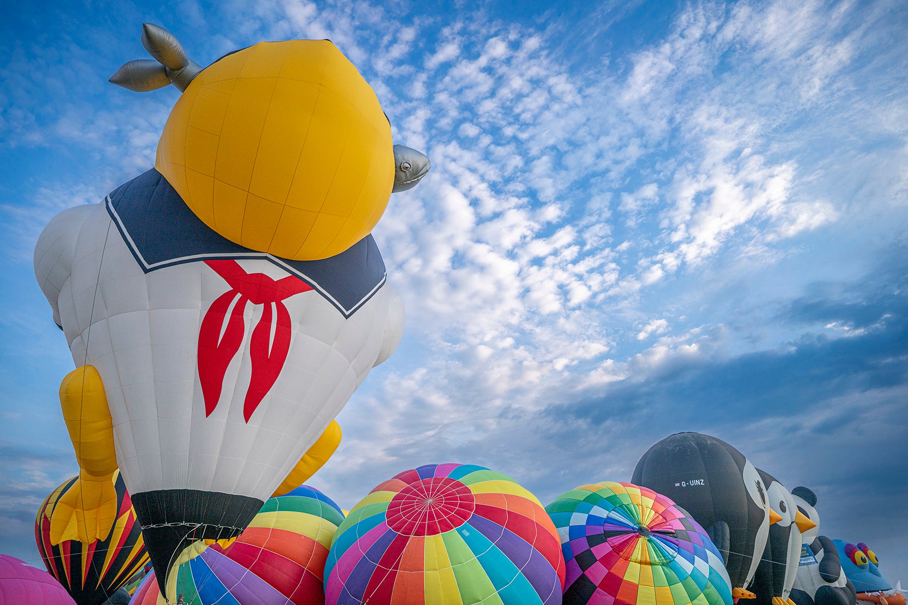 Hot air balloons at dawn