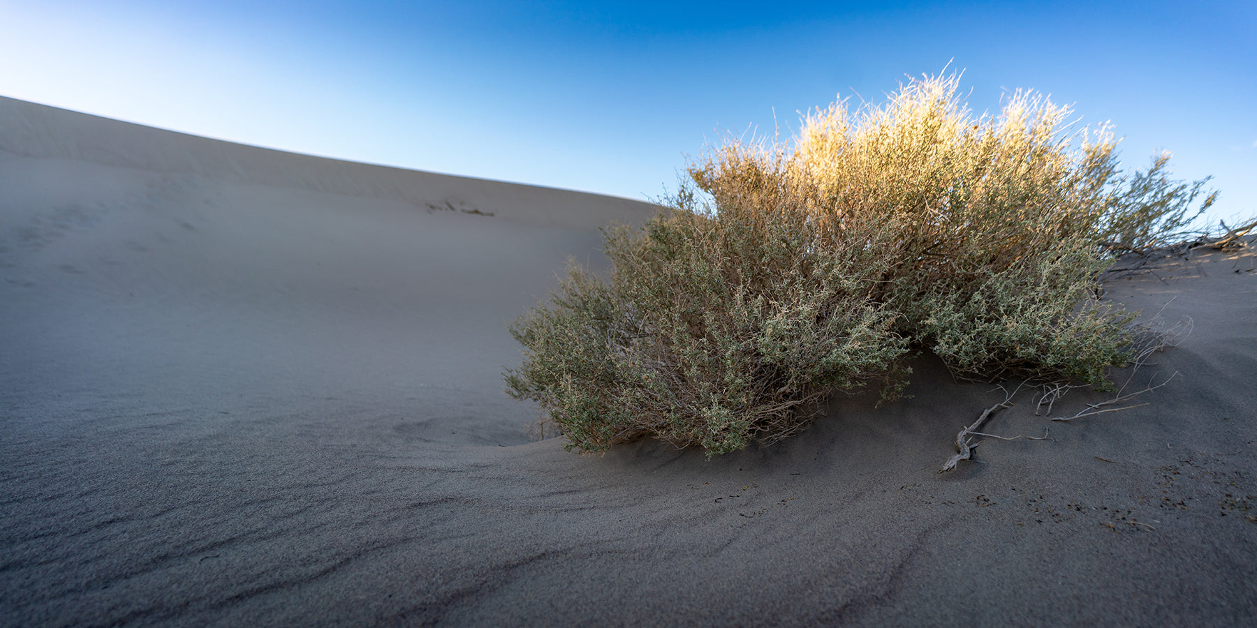 Last light at the Mesquite Flat Sand Dunes