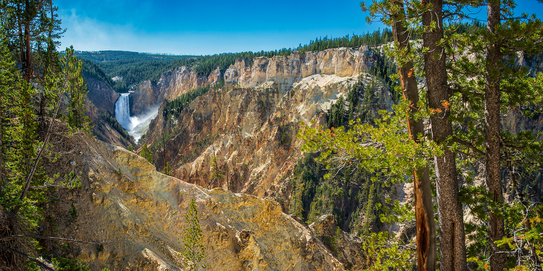 Lower Yellowstone Falls