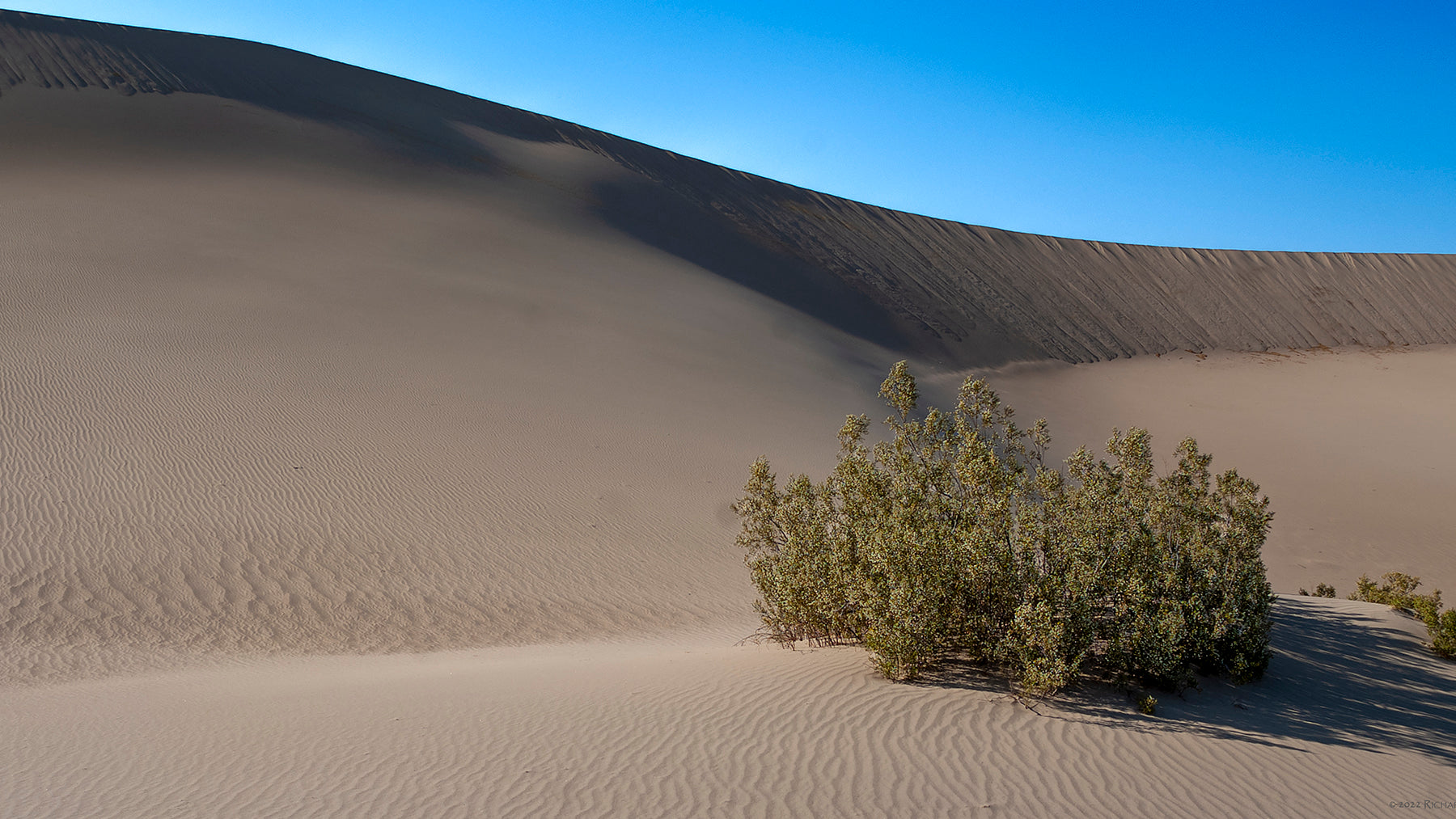 Mesquite Flat Sand Dunes, Big Dune