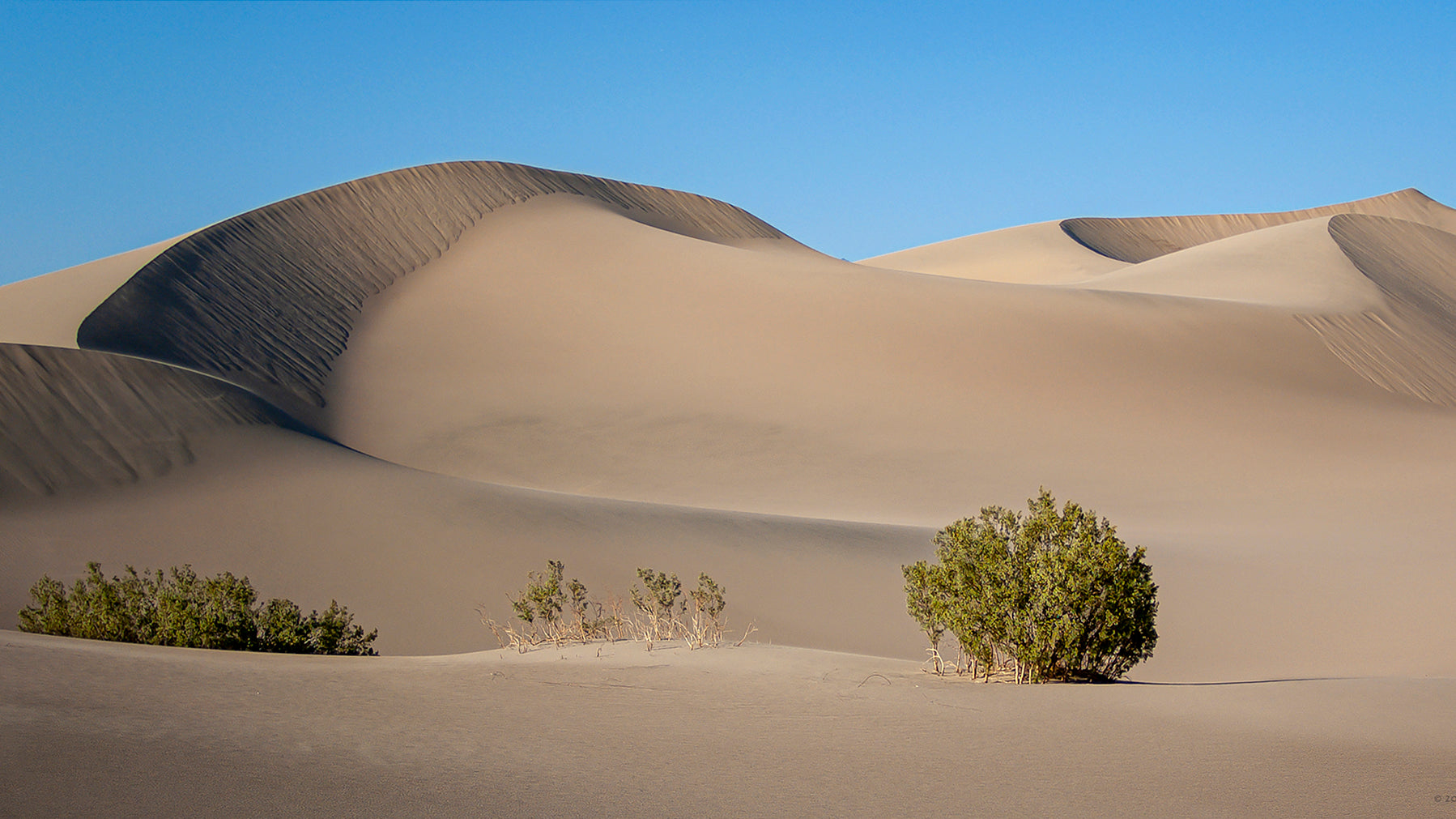 Mesquite Flat Sand Dunes