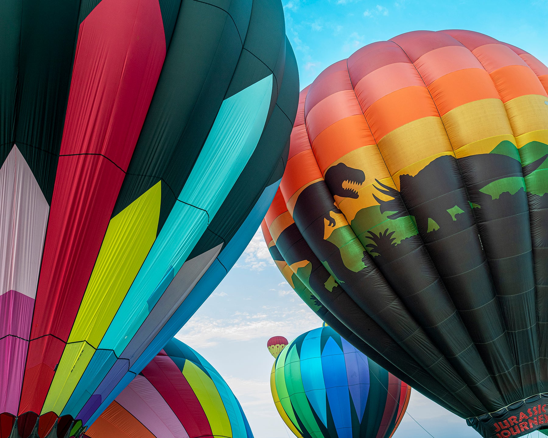 Hot air balloons launch at dawn