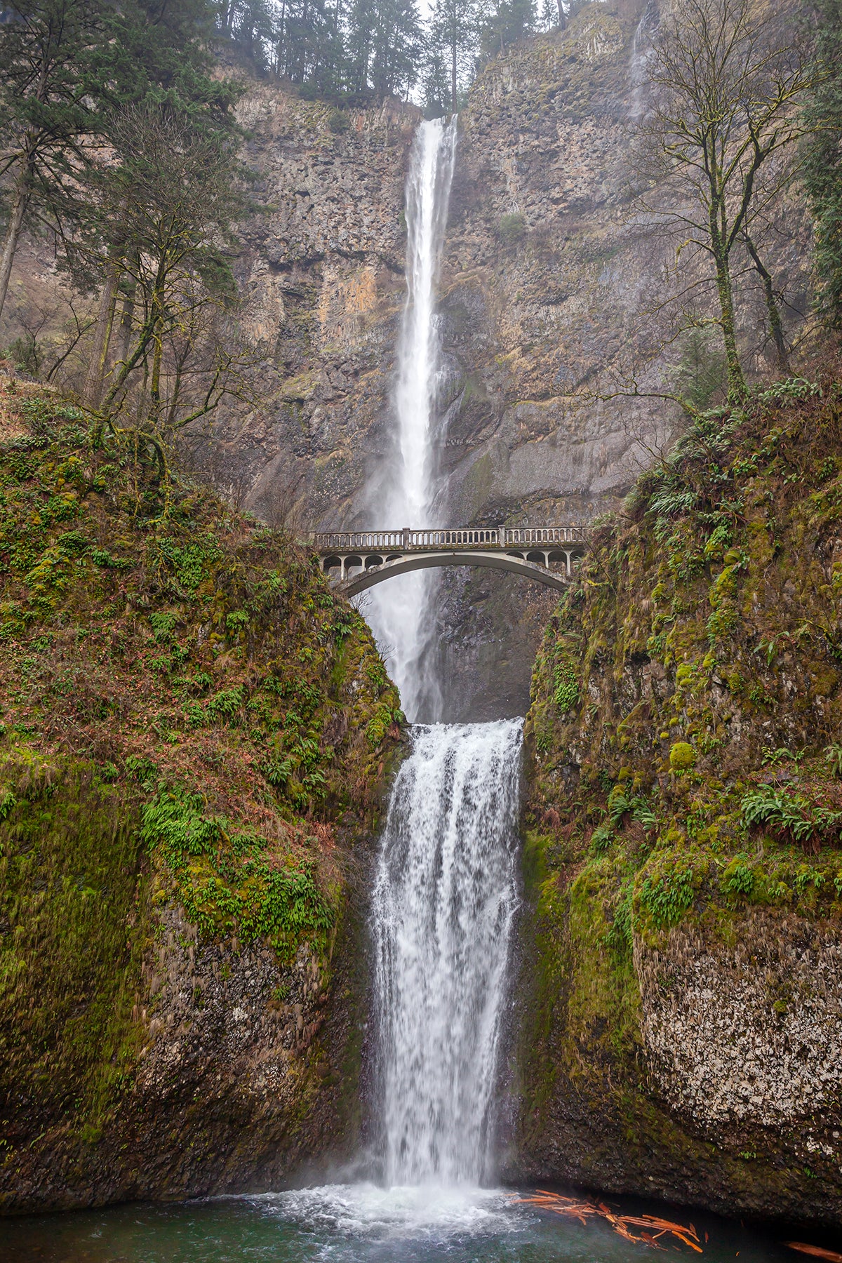 Multnomah Falls in Oregon