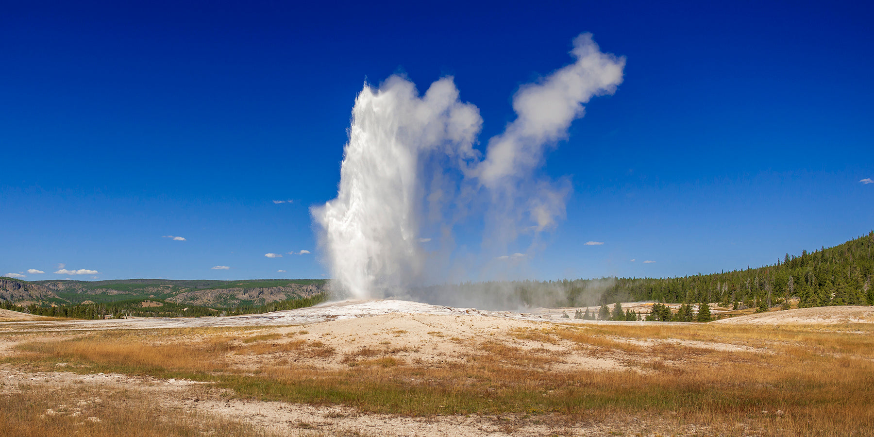 Old Faithul geyser in Yellowstone Park