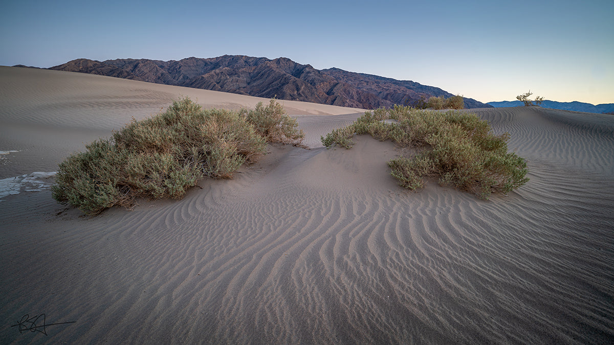 Sunset at the Mesquite Flat Sand Dunes