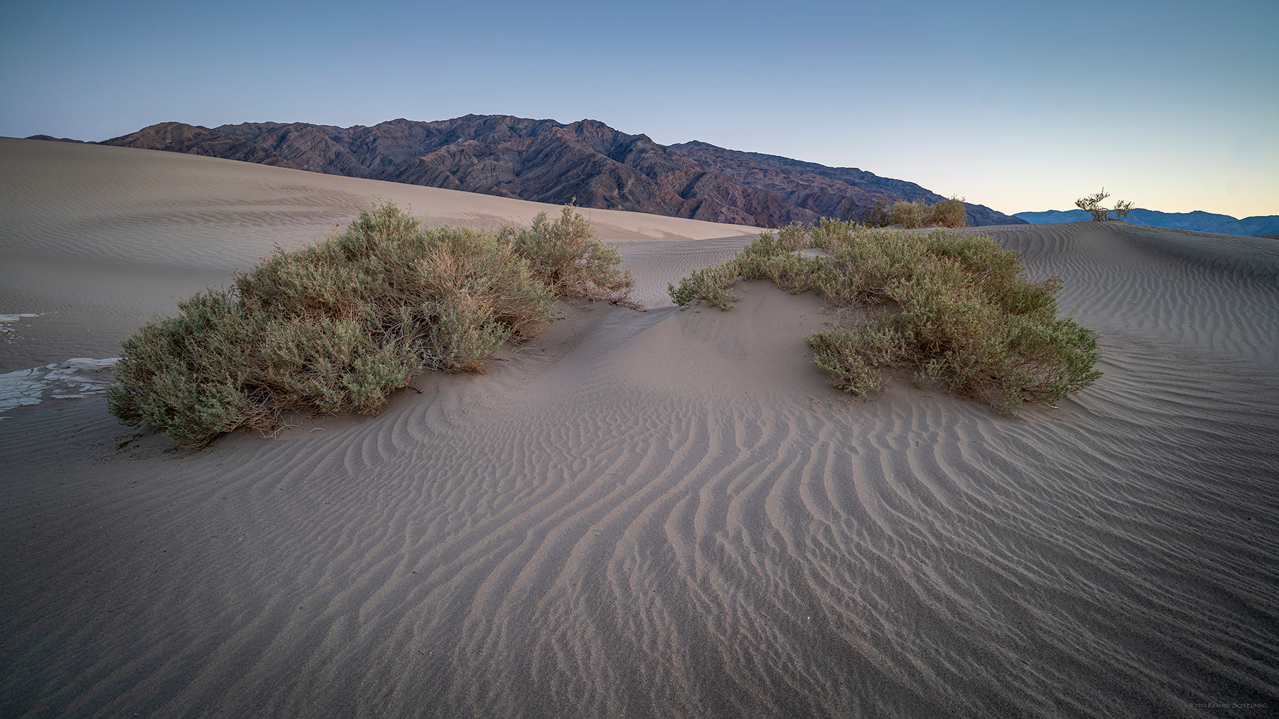 Mesquite Flat Sand Dunes at sunset