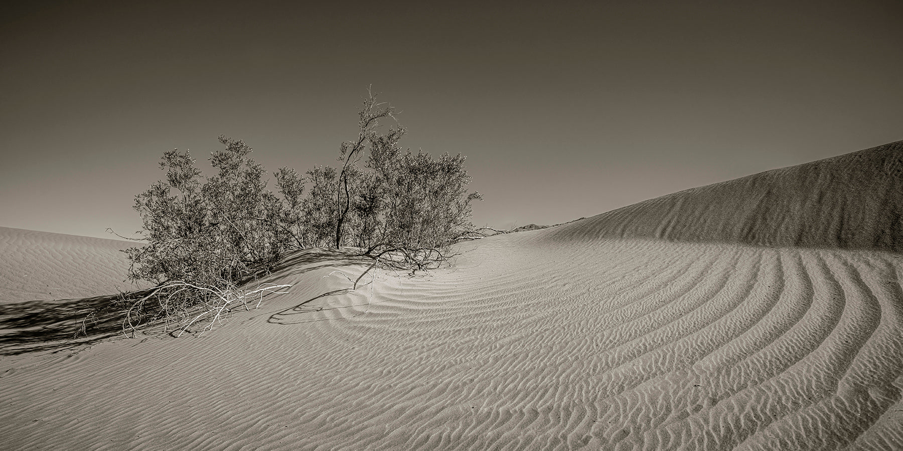 Wind patterns in the sand at the Mesquite Flat Sand Dunes