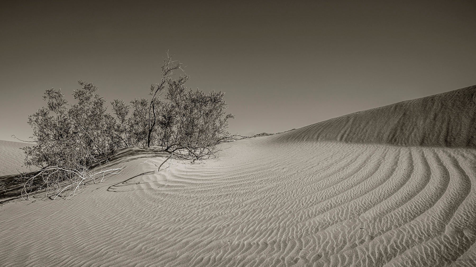 sand patterns caused by the wind at the Mesquite Flat Sand Dunes