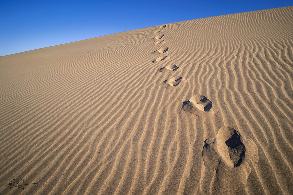 Sand prints at the Mesquite Flat Sand Dunes