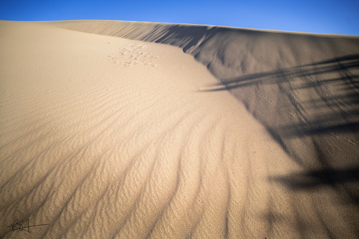 shadows on the sand at the Mesquite Flat Sand Dunes