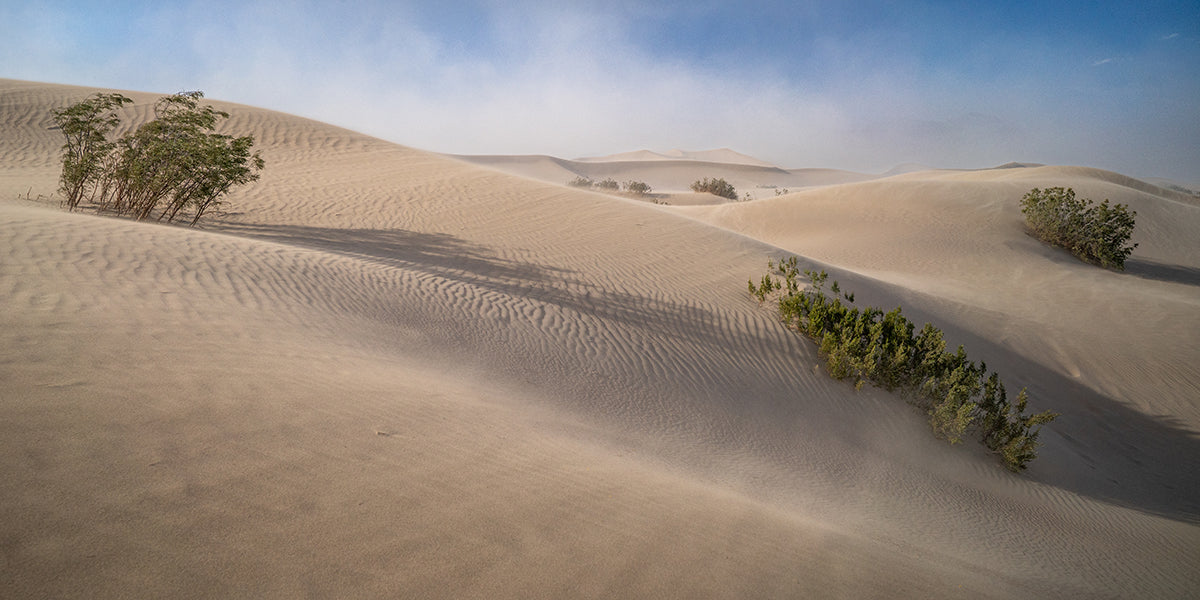 Sand storm at Mesquite Flat Sand Dunes