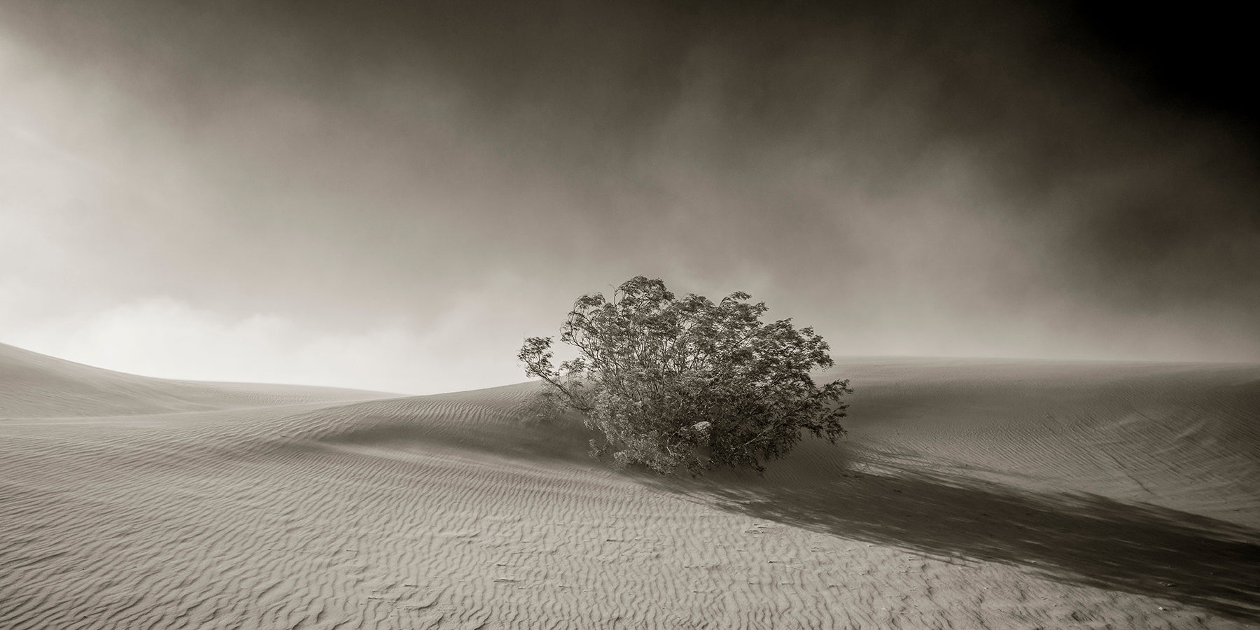 Sandstorm at Mesquite Flat Sand Dunes