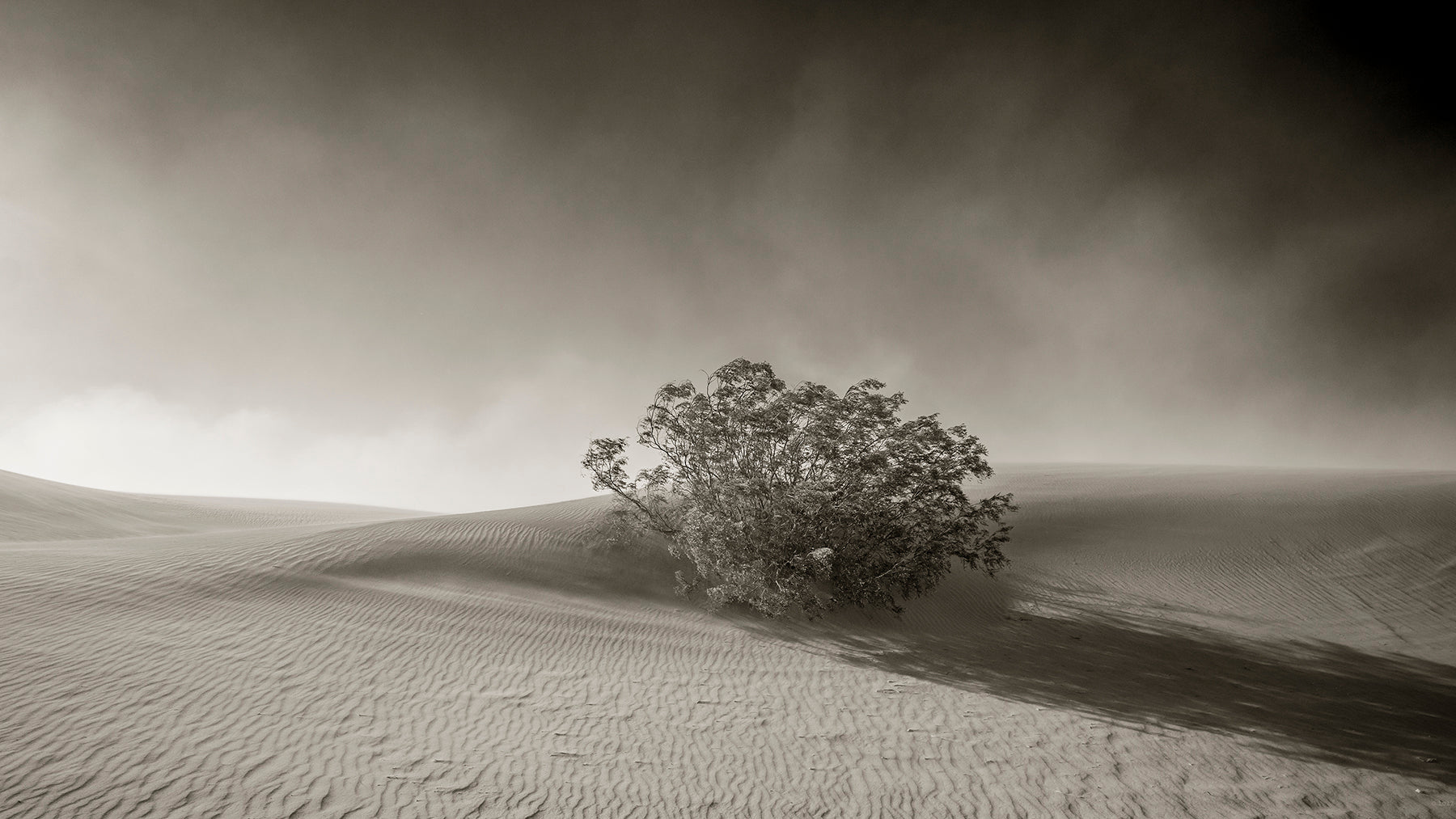 Sandstorm at the Mesquite Flat Sand Dunes