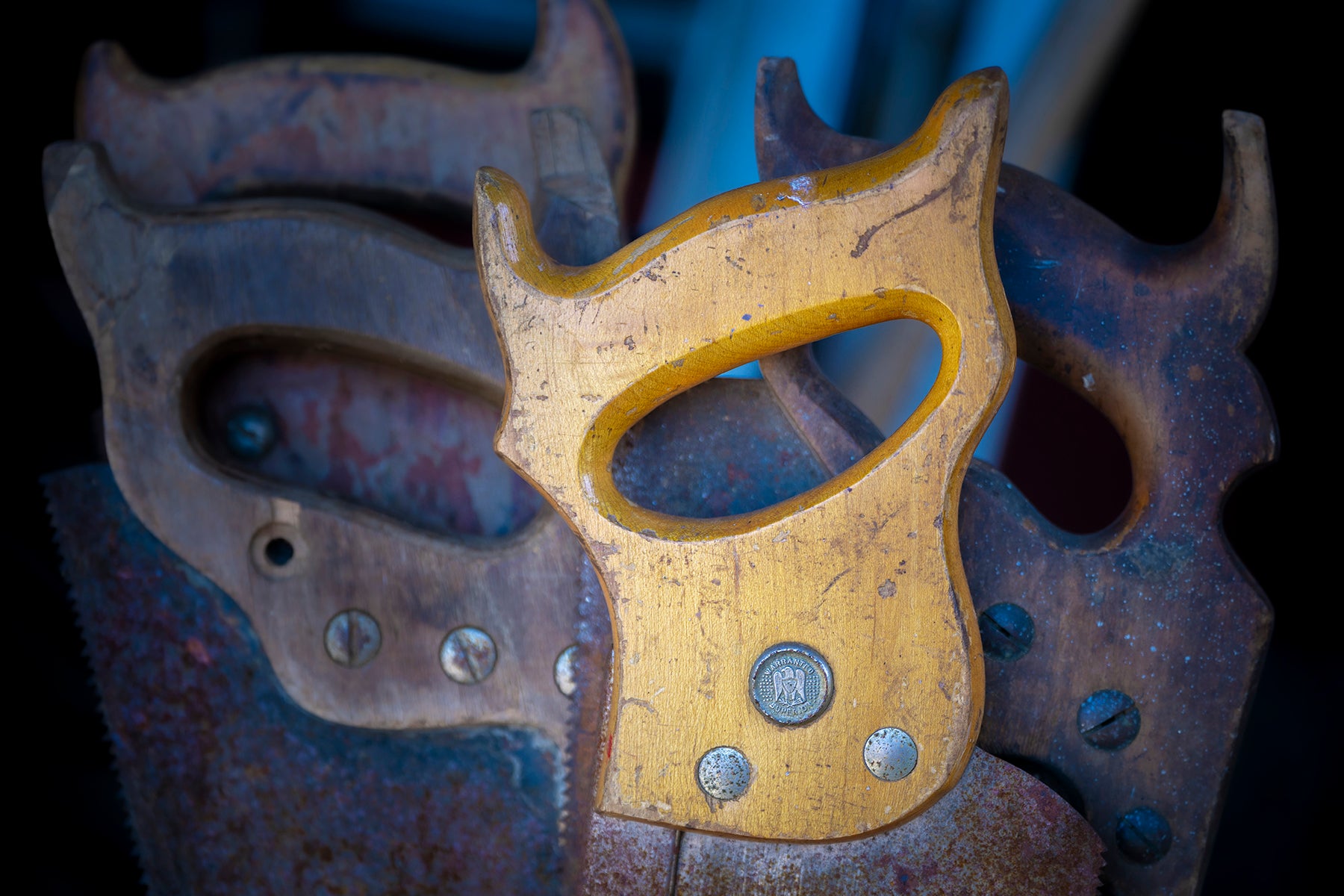 Old saw blades for sale at antique store