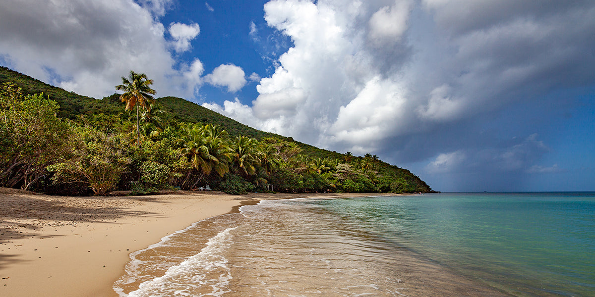 beach at Neltjeberg Bay