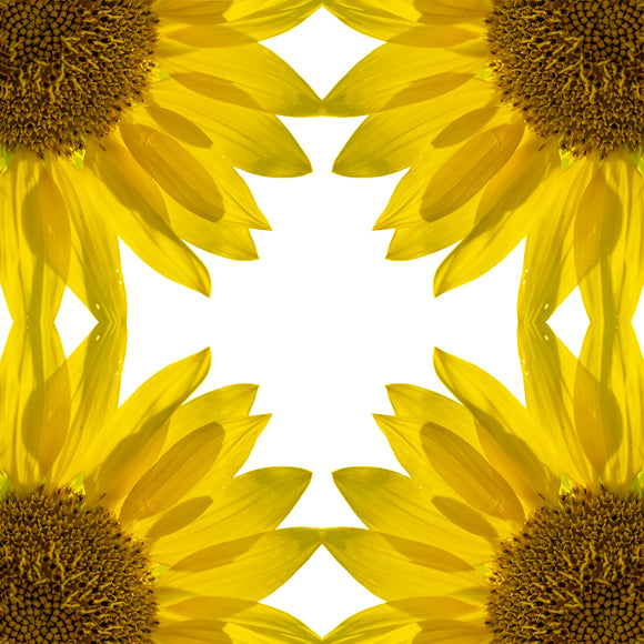 Square scarf with sunflower design