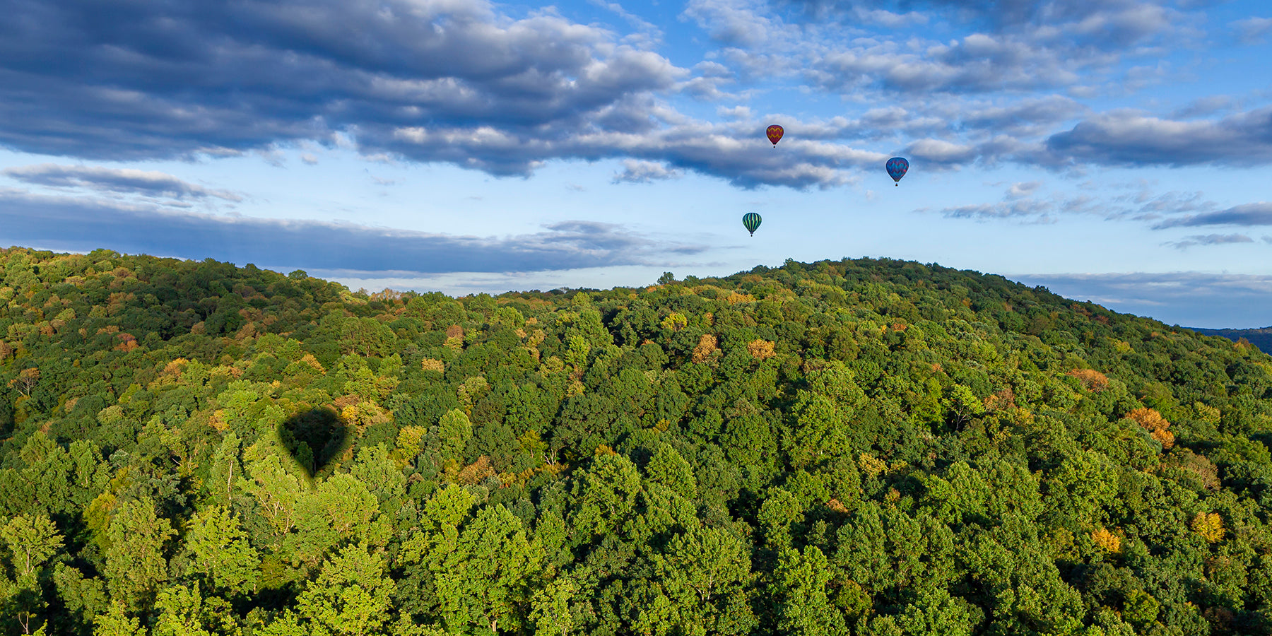 View of NJ countryside from a hot air balloon