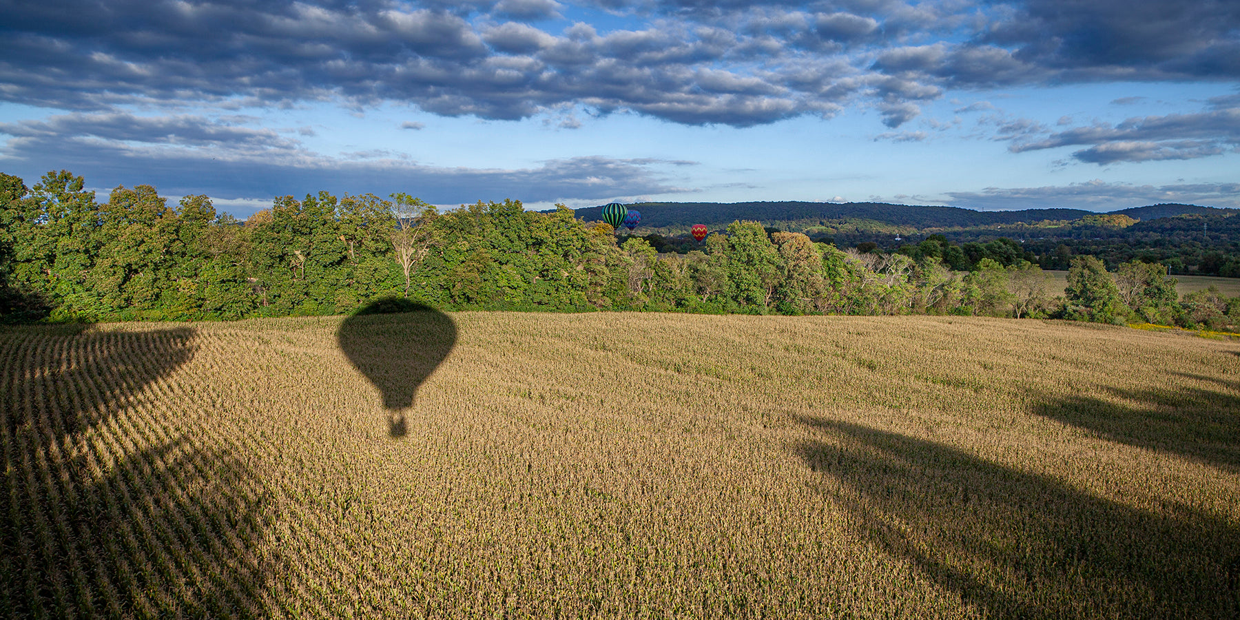 A view of the NJ countryside from a hot air balloon