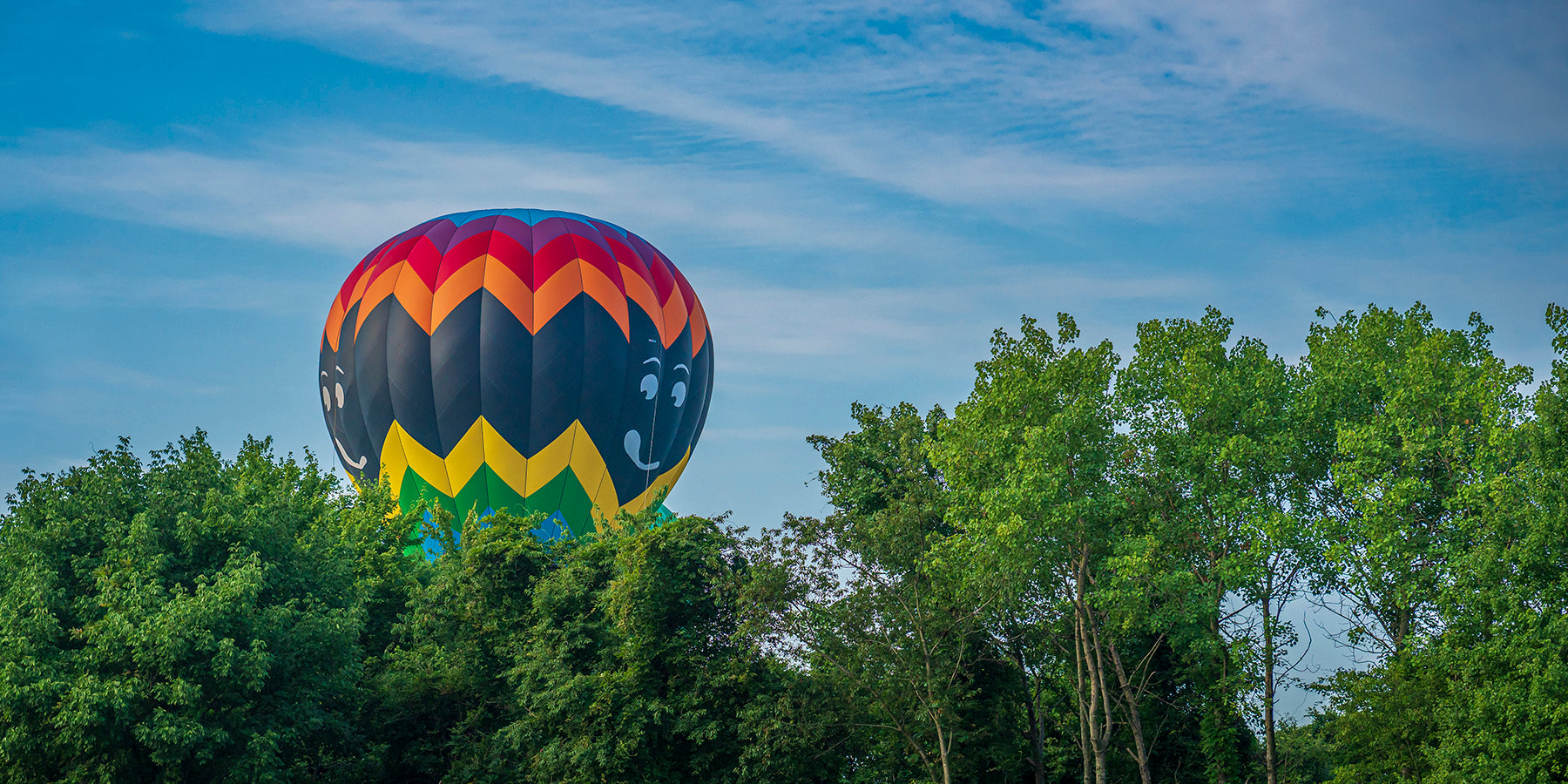 a hot air balloon launches at dawn