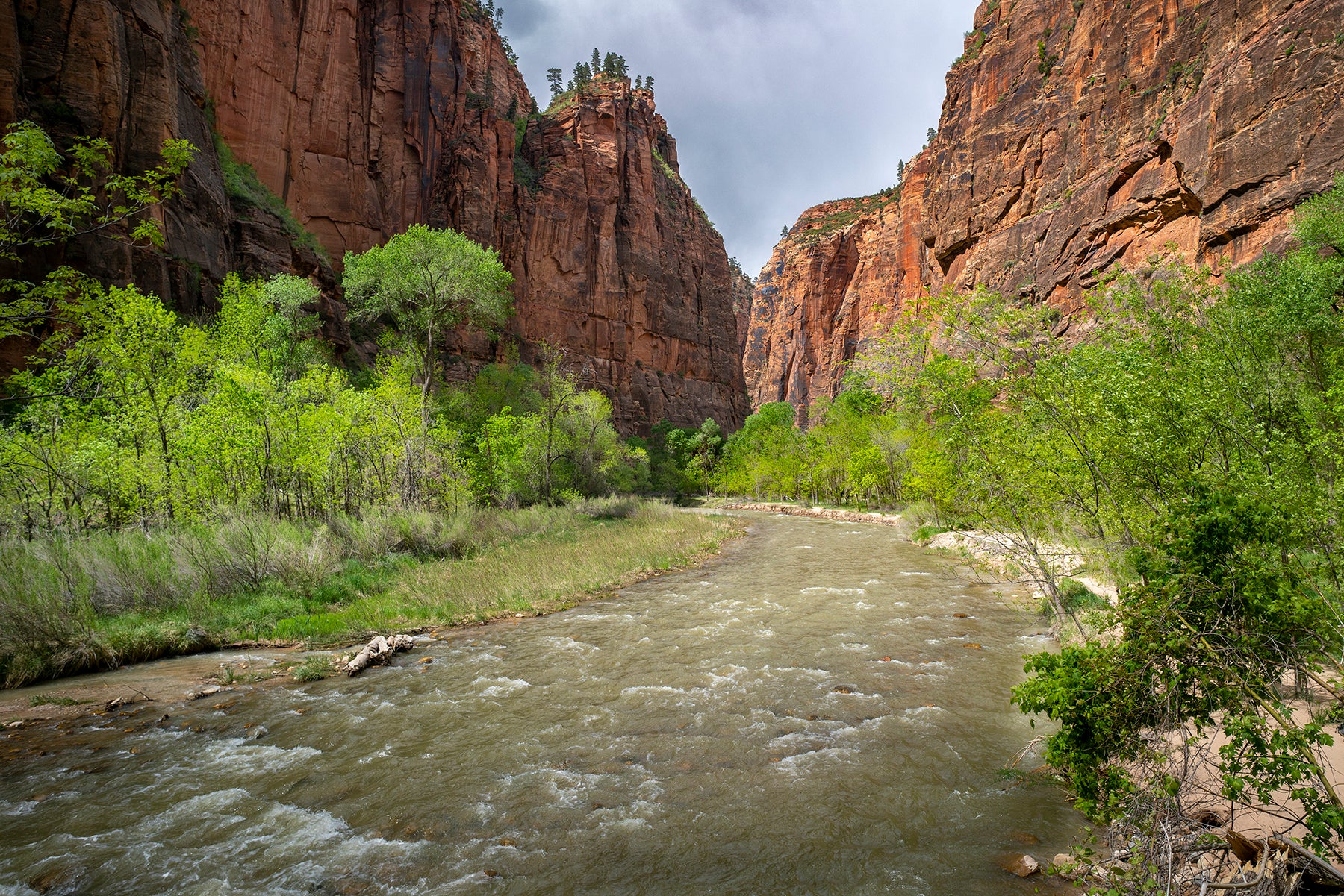 Virgin River in Zion National Park