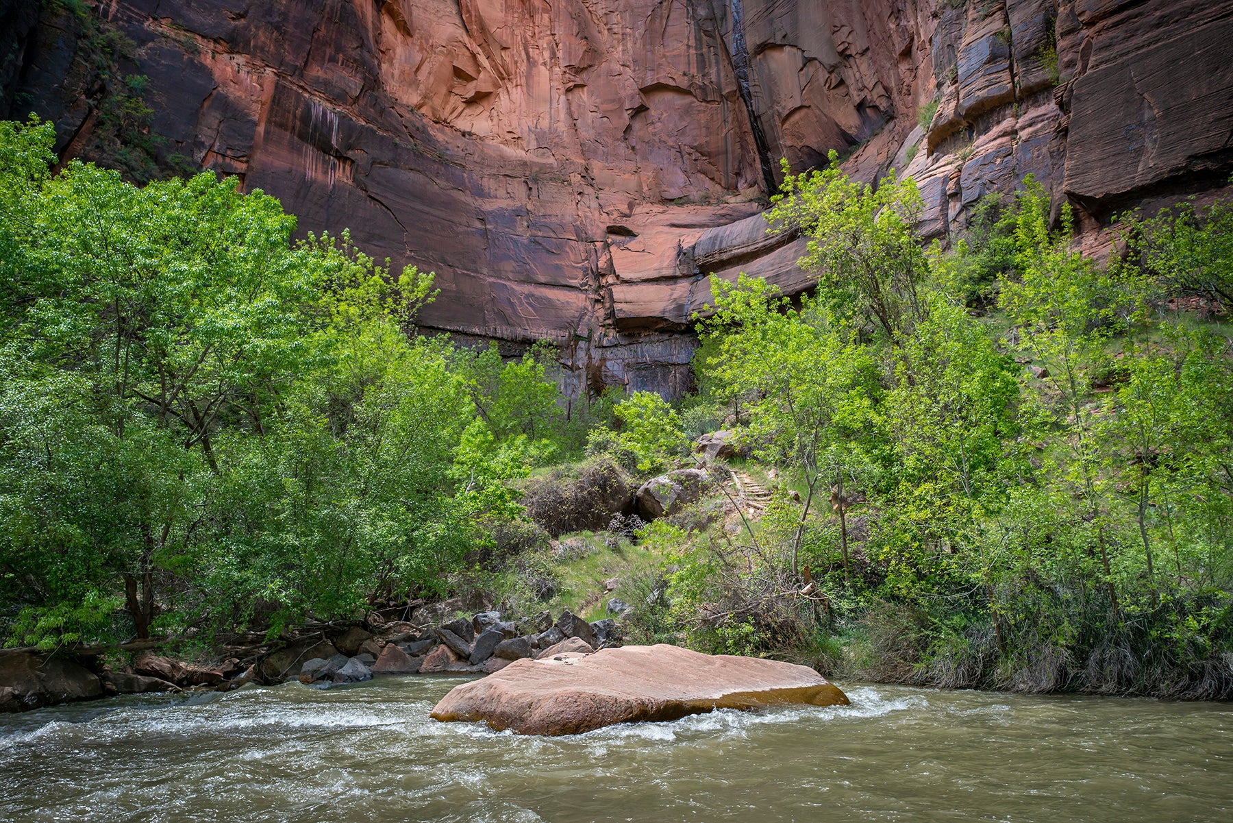 Virgin River in Zion National Park