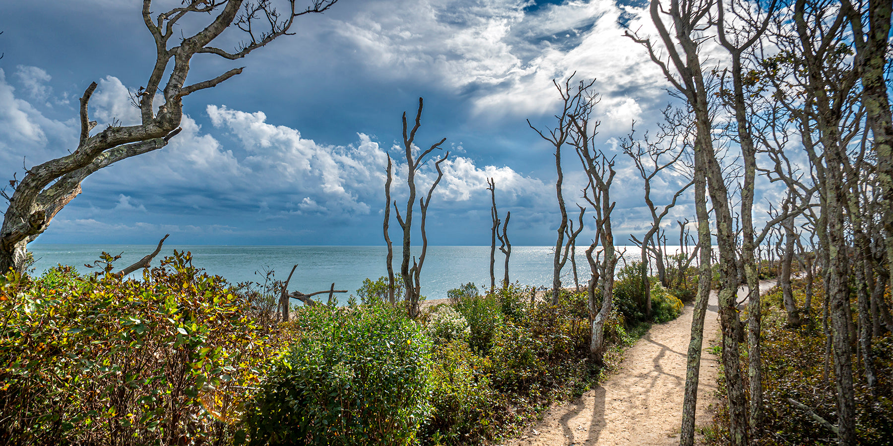 A trail at Wasque Point