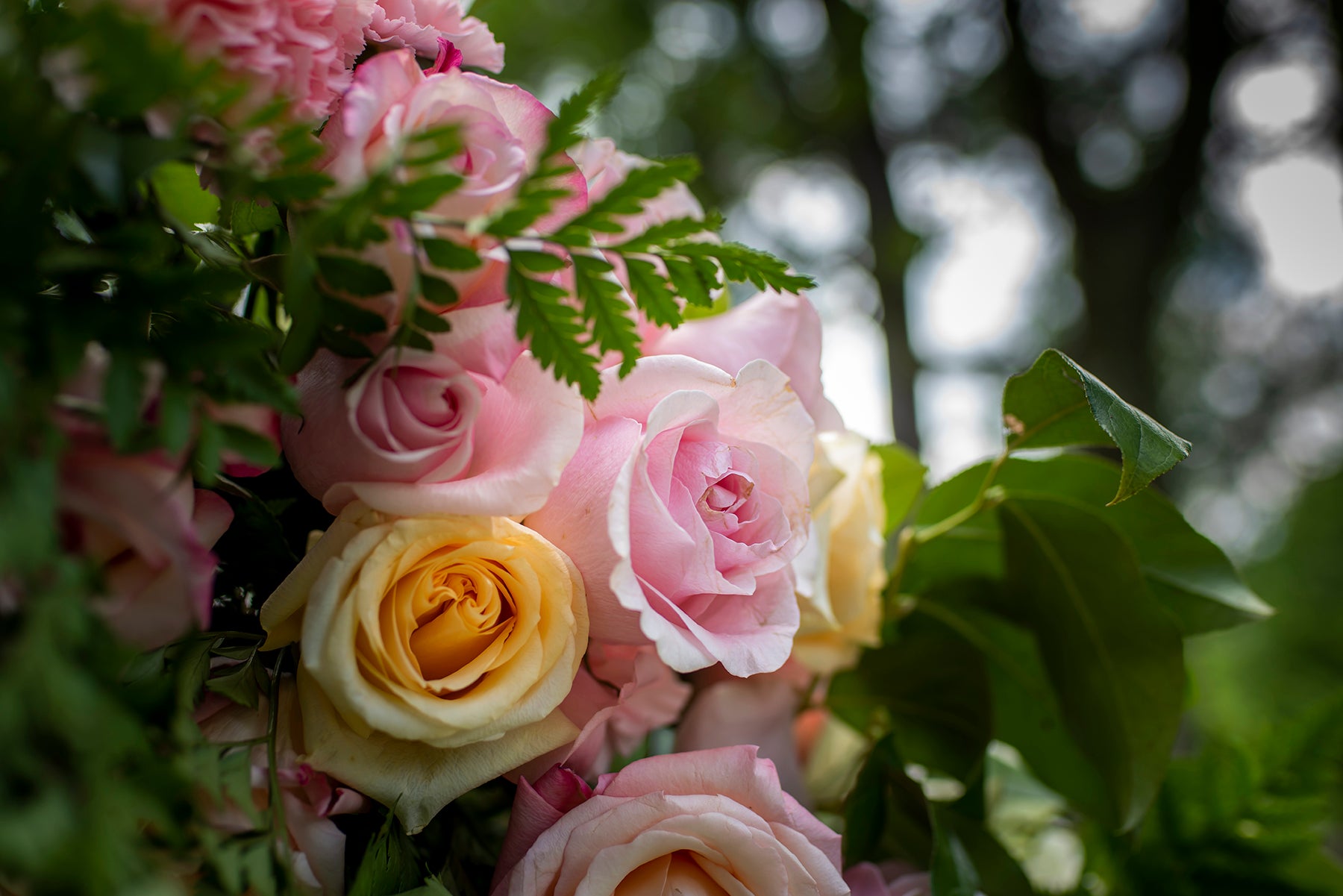 An arch of roses at a wedding