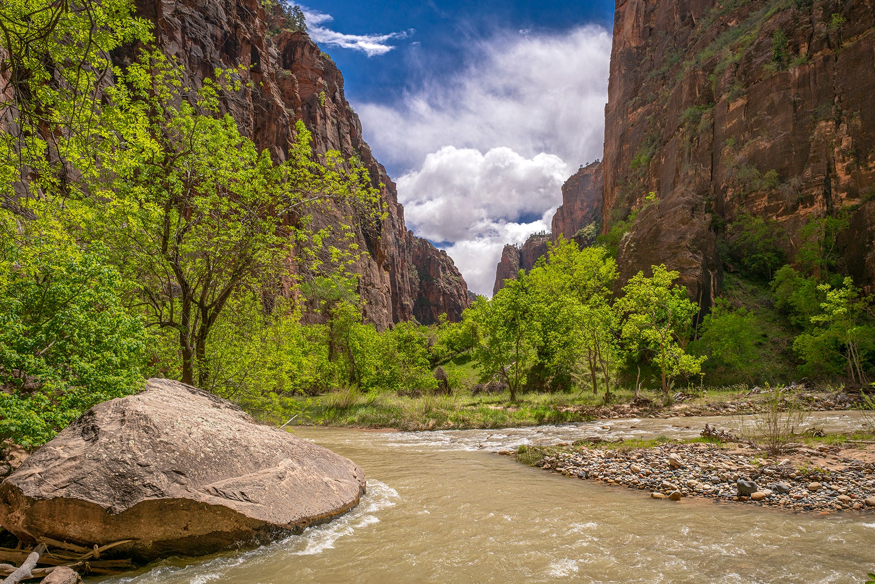 Zion Canyon and the Virgin River